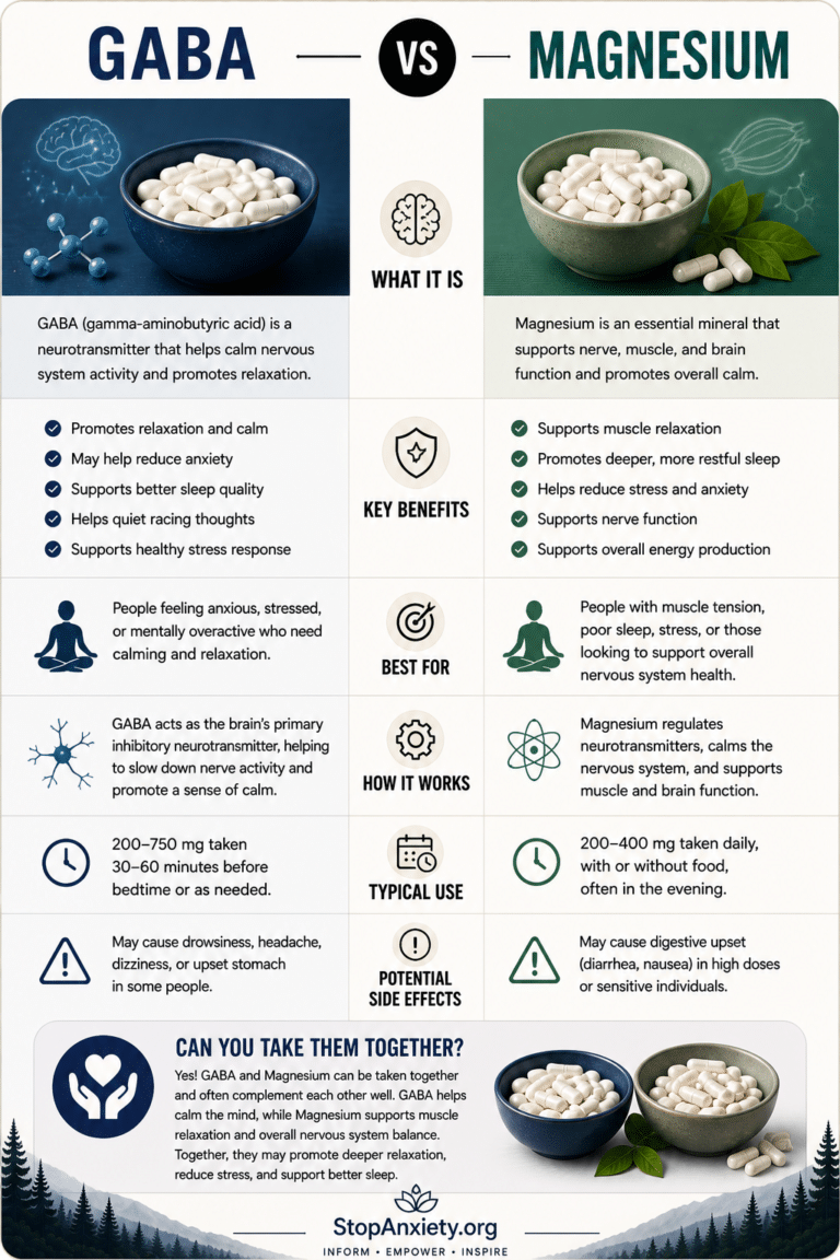 Gaba Vs Magnesium Anxiety