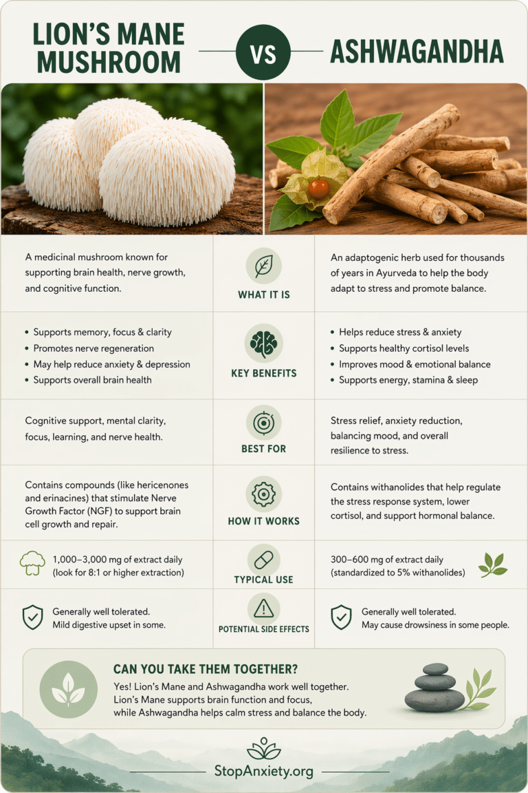 Lions Mane Vs Ashwaganda
