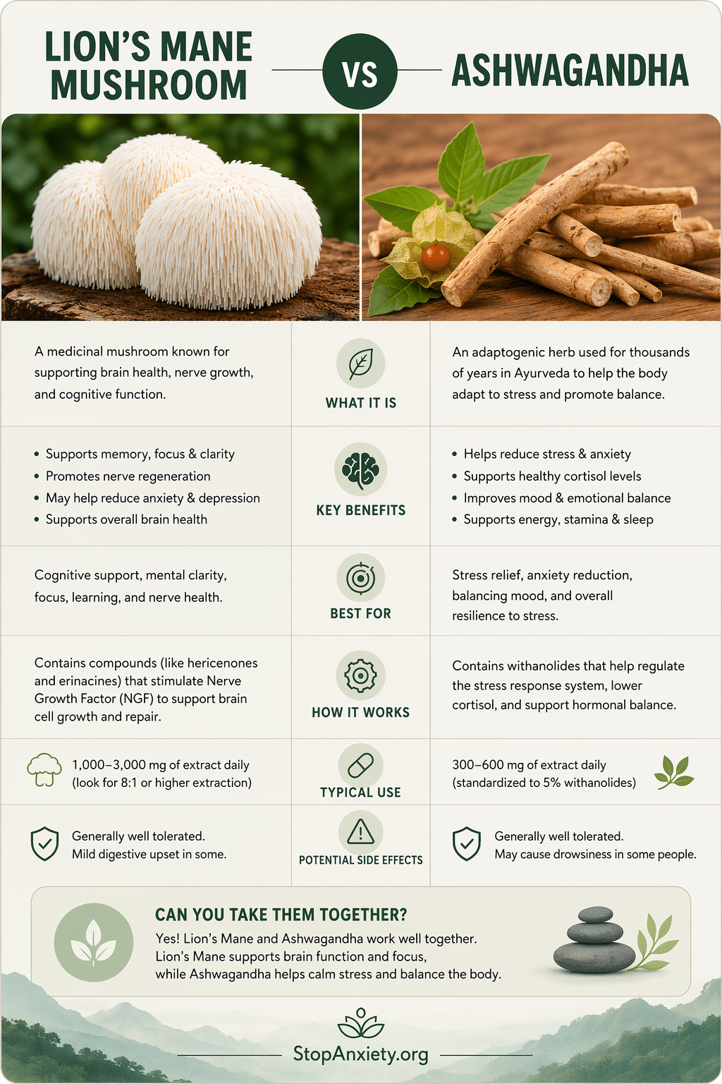 Lions Mane Vs Ashwaganda