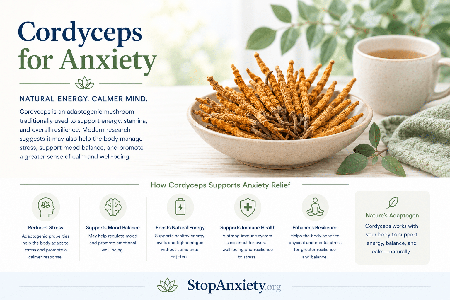 Cordyceps for Anxiety