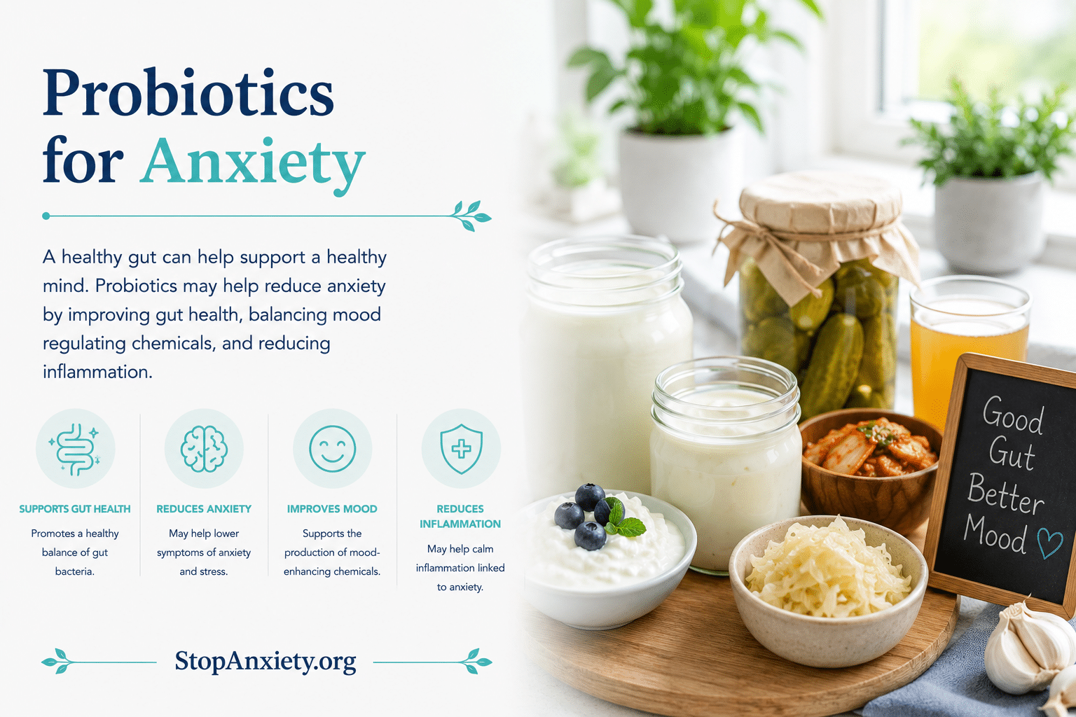 Probiotics for Anxiety