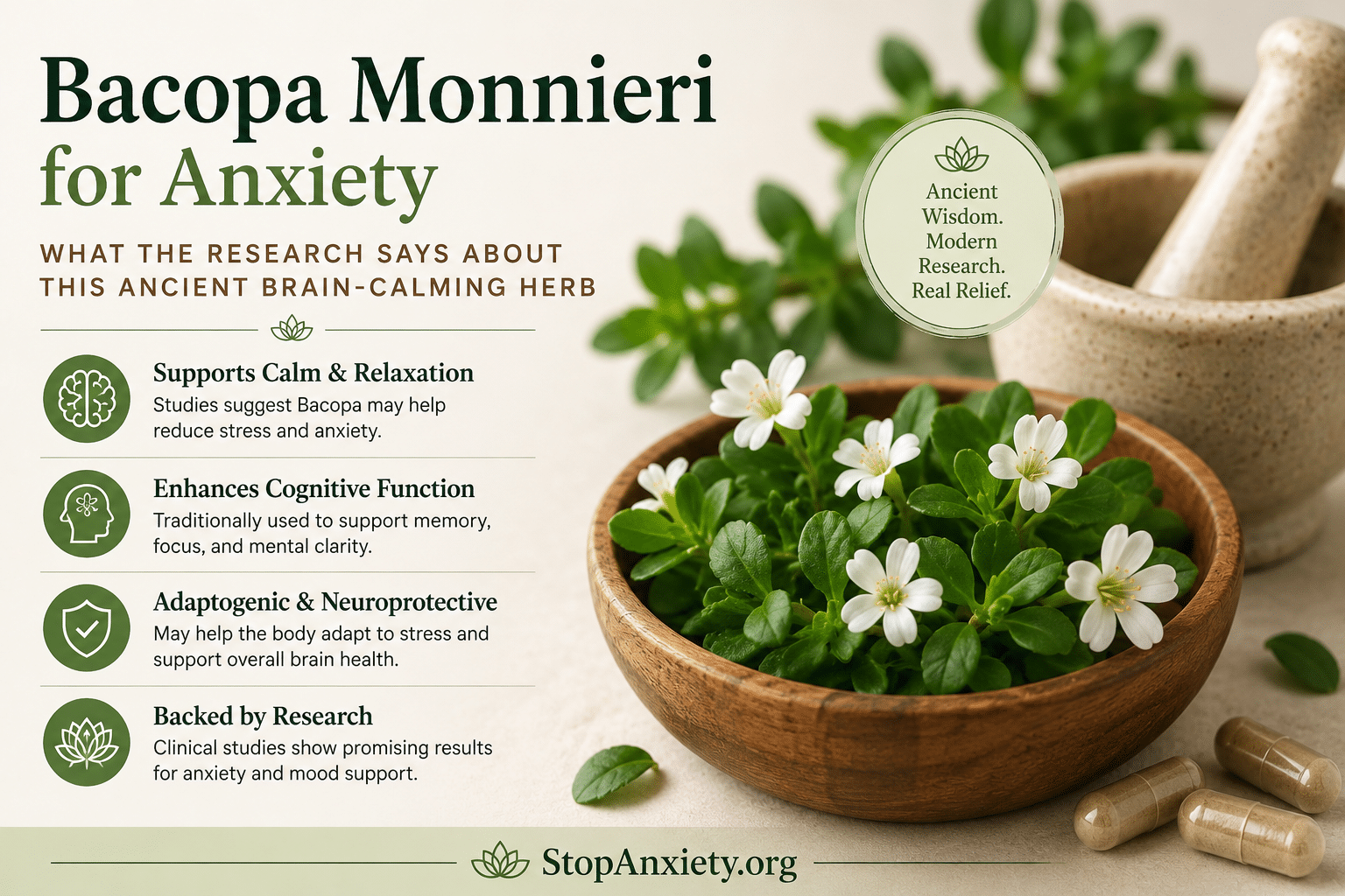 Bacopa Monnieri for Anxiety
