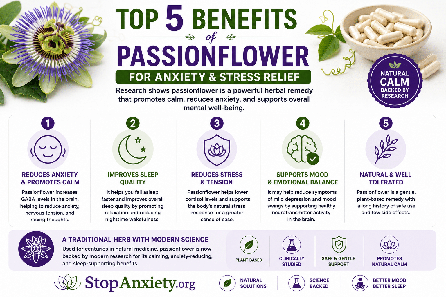 Benefits Passionflower Anxiety