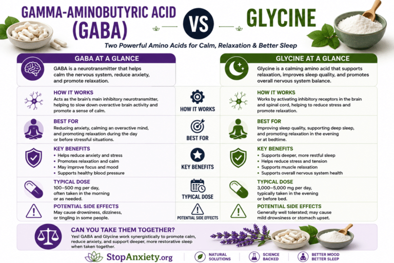 Gaba Vs Glycine Anxiety