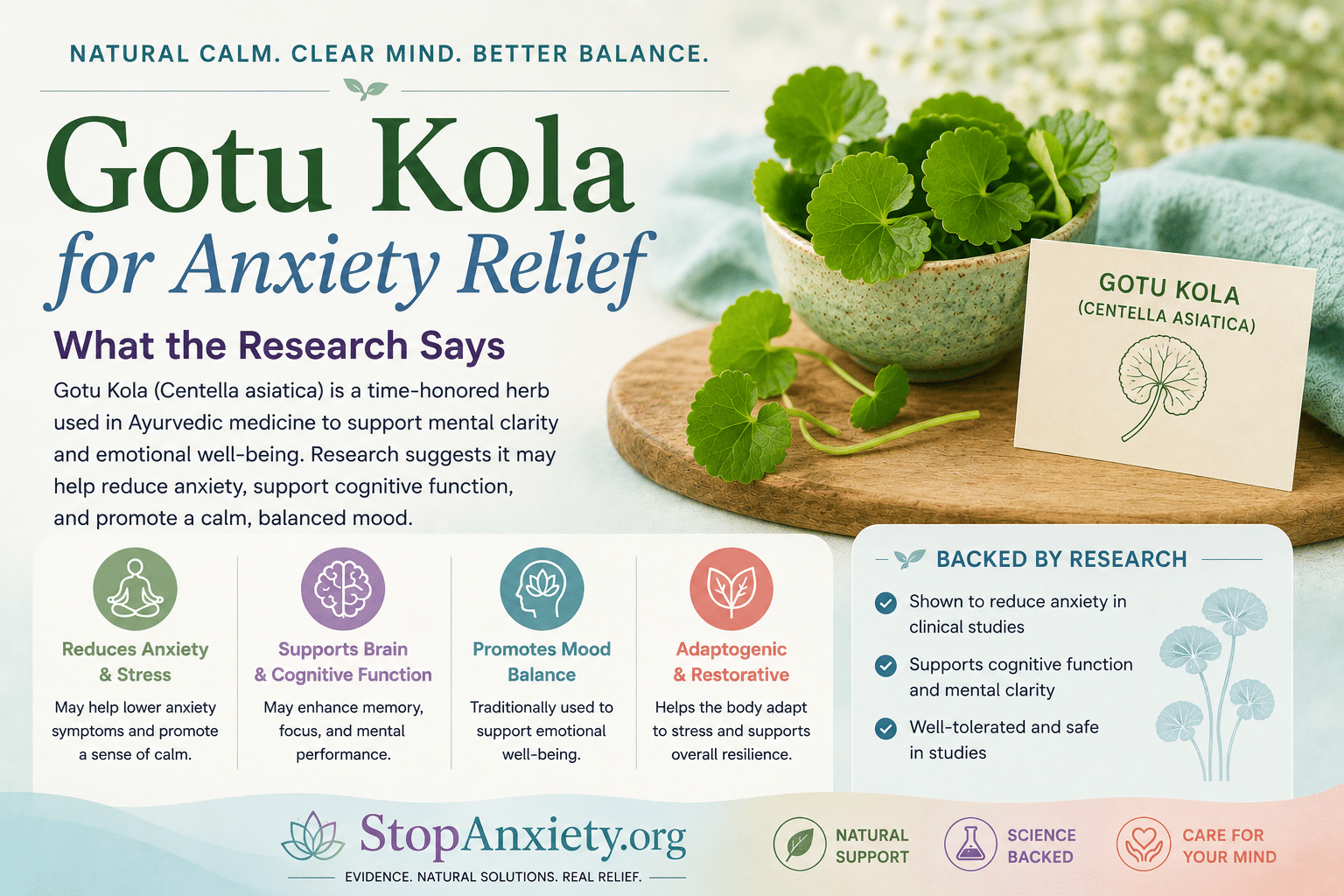 Gotu Kola for Anxiety