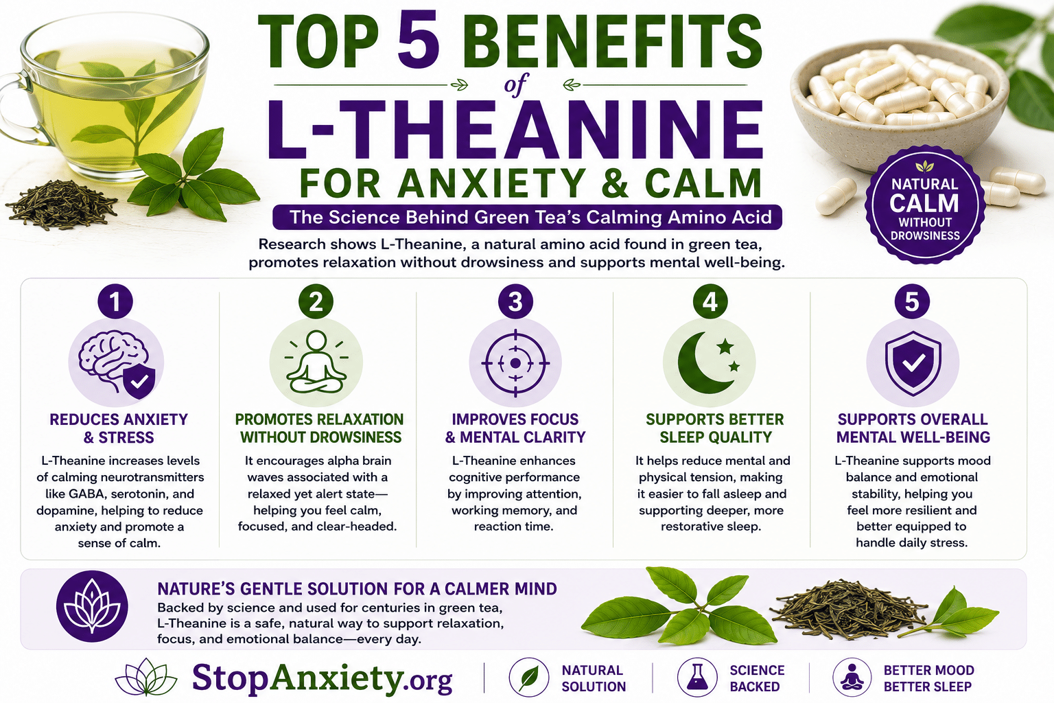L-Theanine Benefits Anxiety