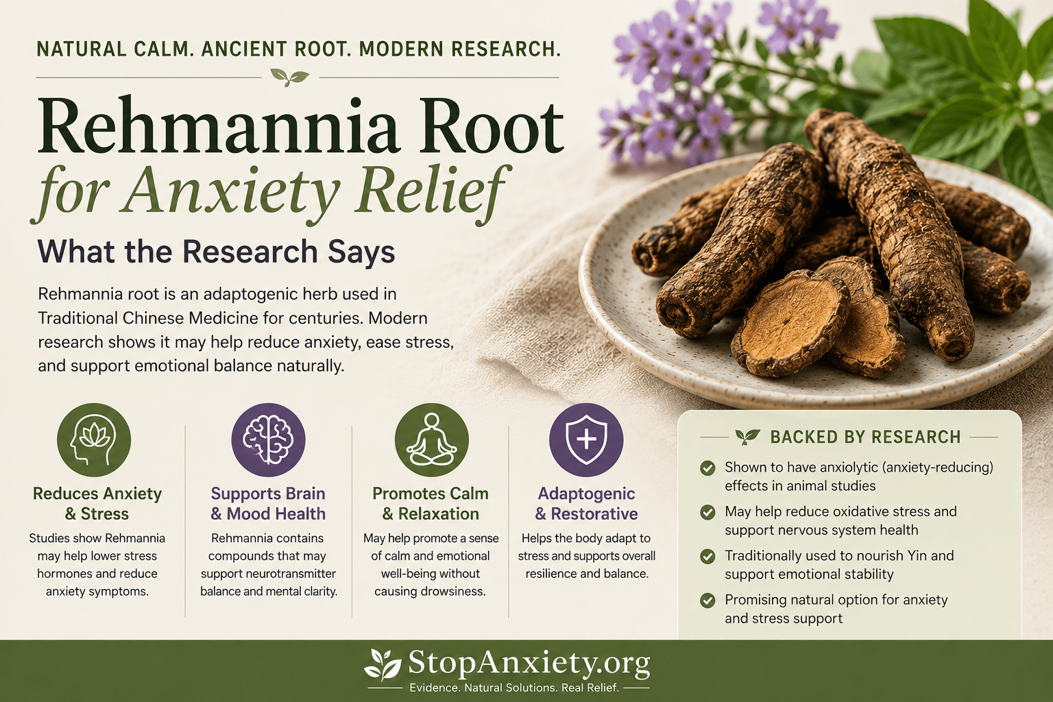 Rehmannia Root Anxiety