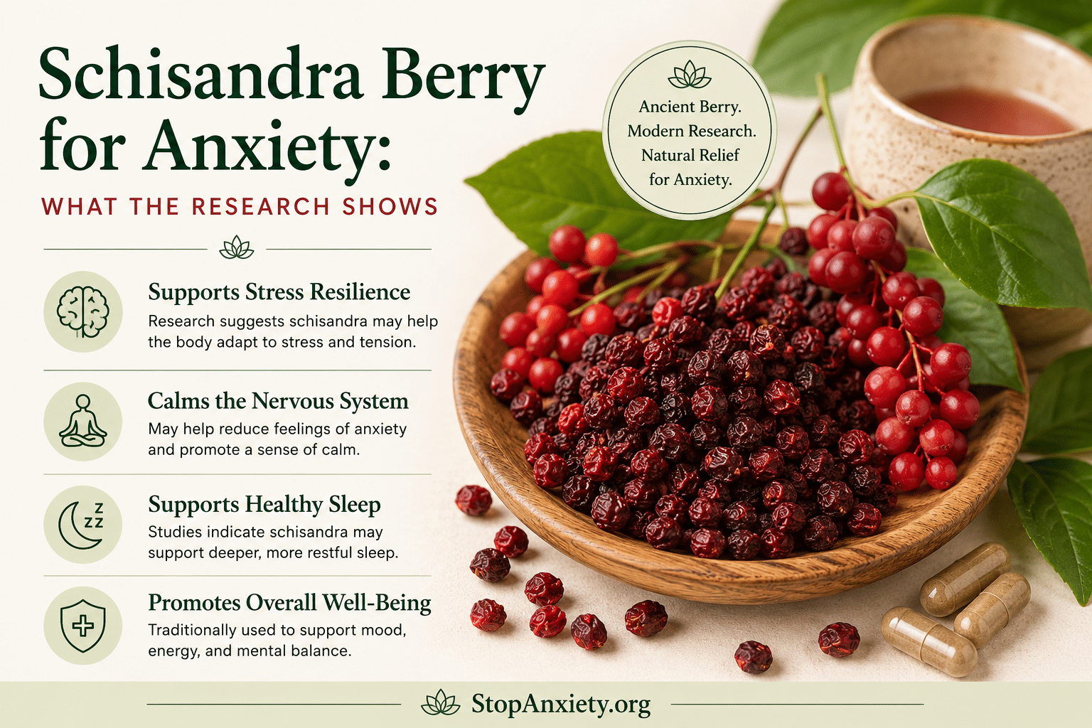 Schisandra Berry Anxiety