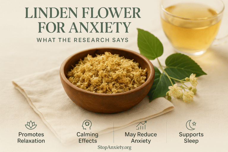 Linden Flower and Anxiety: What the Research Says About This Forgotten European Nervine