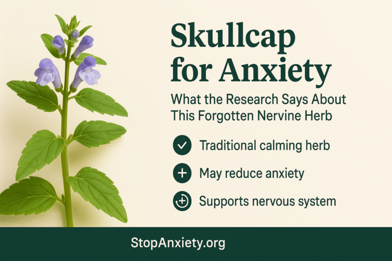 Skullcap for Anxiety: What the Research Says About This Forgotten Nervine Herb