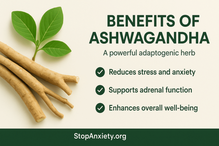 Sensoril vs. KSM-66 Ashwagandha: Which Form Actually Works Better for Anxiety?