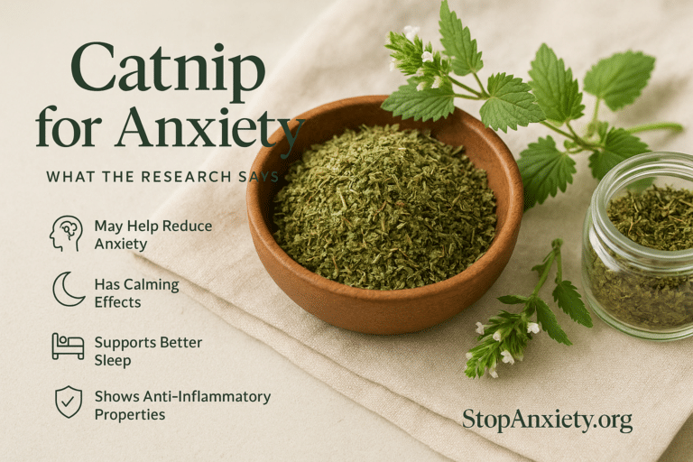 Catnip and Anxiety: An Honest Look at This Forgotten Garden Herb and the Evidence Behind It