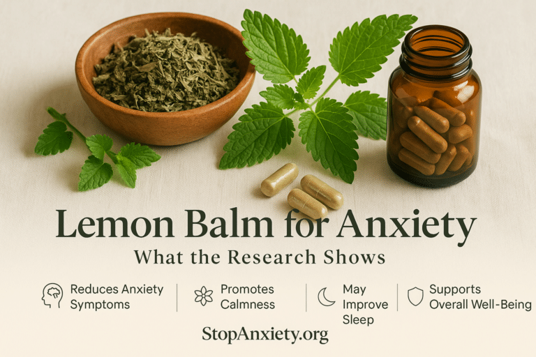Lemon Balm and Anxiety: An Honest Look at This Gentle Nervine Herb and the Evidence Behind It