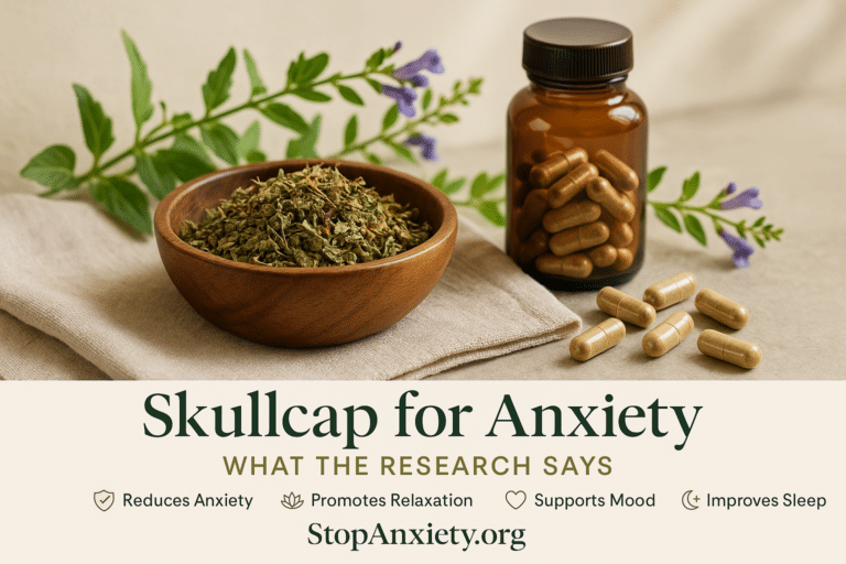 Skullcap for Anxiety: What the Research Says About This Forgotten Nervine Herb