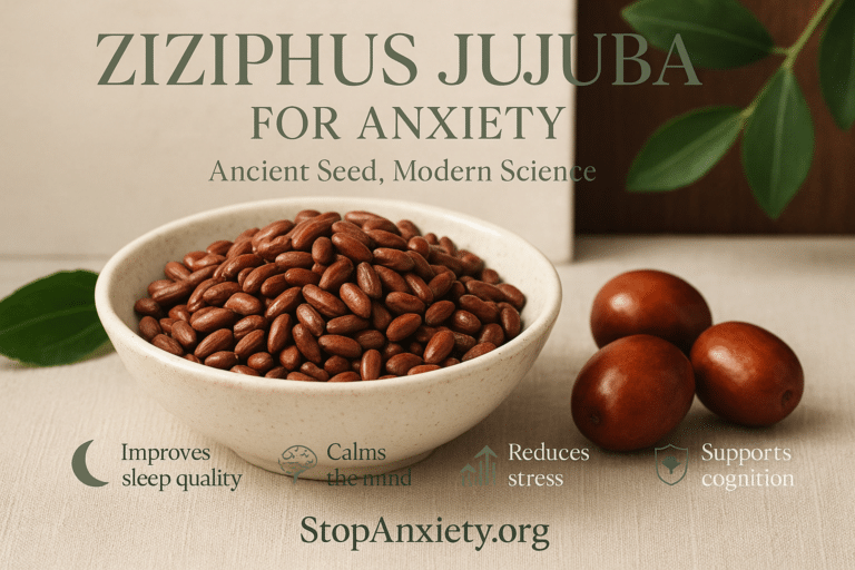 Ziziphus Jujuba and Anxiety: An Honest Look at This Ancient Calming Seed and the Evidence Behind It