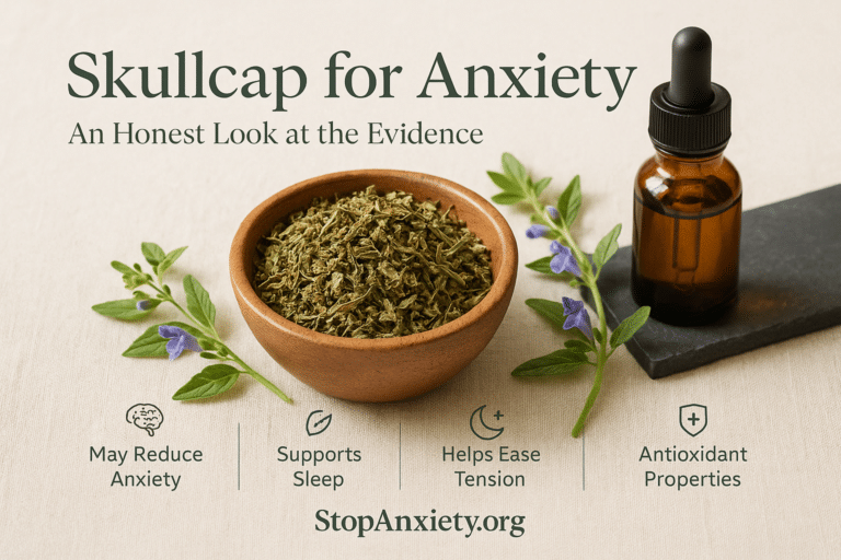 Skullcap and Anxiety: An Honest Look at This Overlooked Native Nervine and the Evidence Behind It
