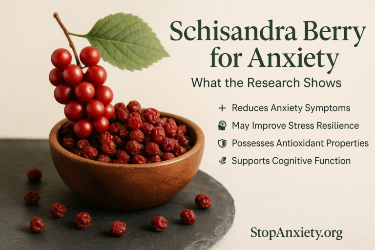 Schisandra Berry and Anxiety: An Honest Look at This Forgotten Five-Flavor Adaptogen and the Evidence Behind It
