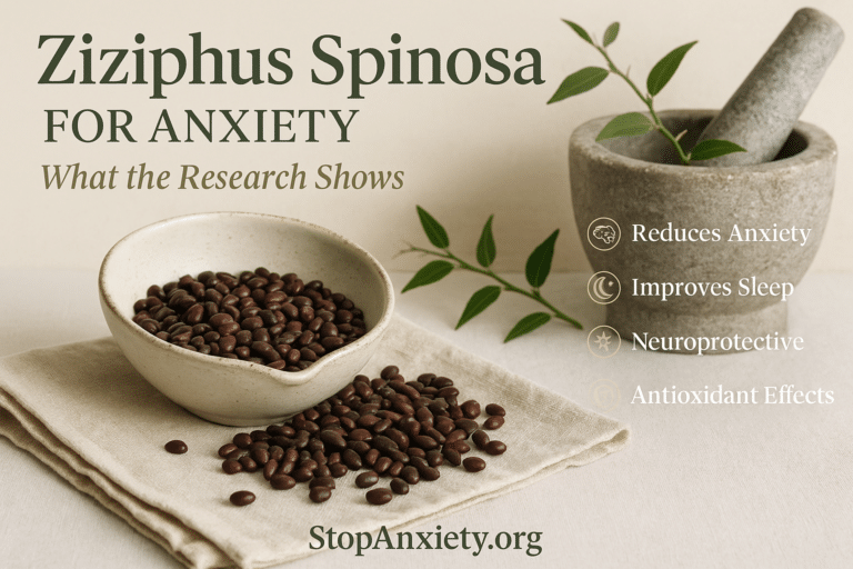 Ziziphus Spinosa and Anxiety: An Honest Look at This Overlooked Seed Extract and the Evidence Behind It
