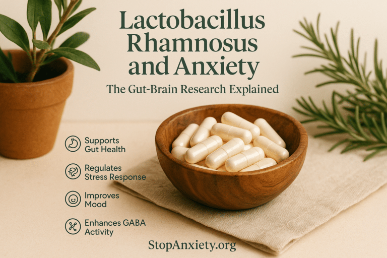 Lactobacillus Rhamnosus and Anxiety: What the Research Says About This Probiotic Strain and the Gut-Brain Axis